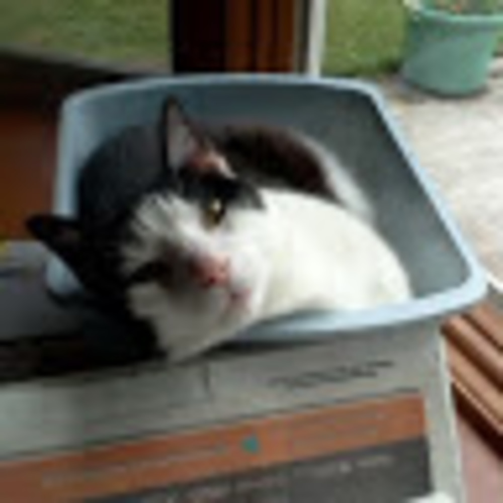 Meet your Posher, Kerry